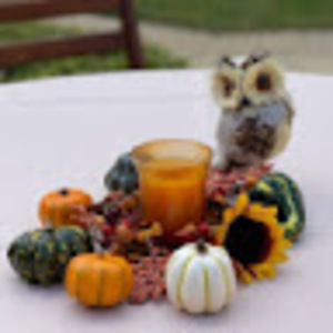 Meet your Posher, Sherry